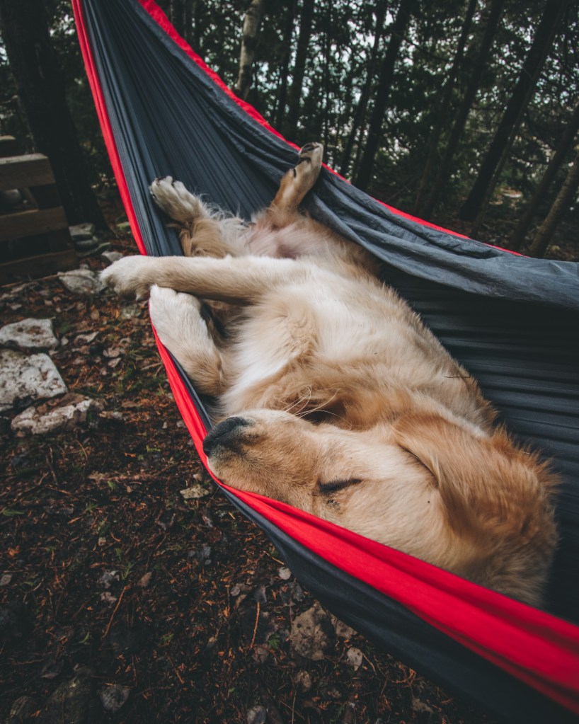 Not remaining vigilant
